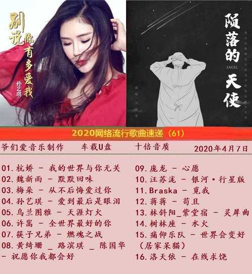 最新网络歌曲下载，引领音乐潮流的新纪元