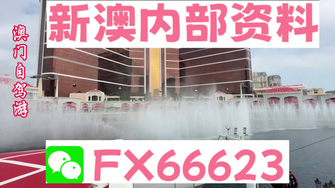 新澳内部资料精准一码免费,实地执行数据分析_Advance172.777