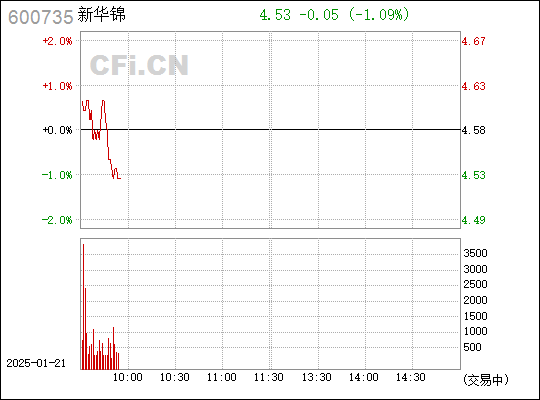 新华锦，引领未来发展，探索前沿新篇章